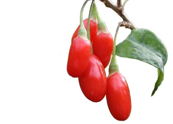 According to a recent patent application, PepsiCo is exploring the potential of natural energy drinks containing Chinese herbal extracts that can alleviate fatigue and enhance sports performance. Picture: Goji Grow  