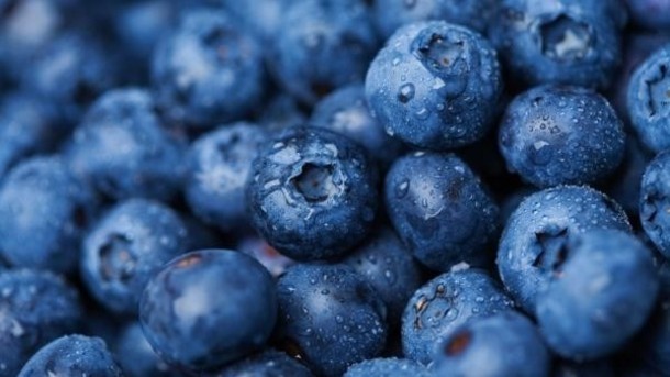 Blueberries could lower blood pressure: RCT data