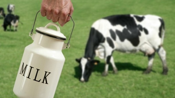 'More than 99%' of US raw milk samples free of drug residues: FDA survey