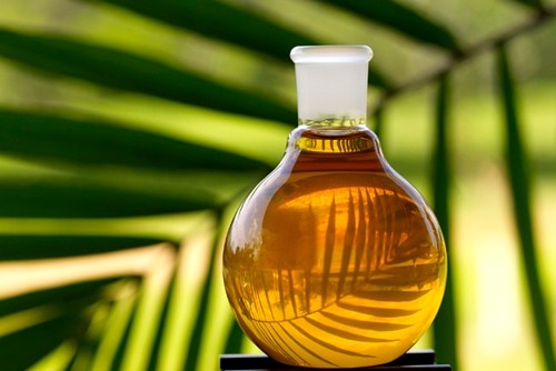 Callebaut to use RSPO-certified palm oil for compounds and fillings
