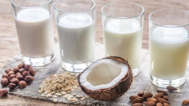 Plant-based milk debate heats up state regulators weigh in at NCIMS