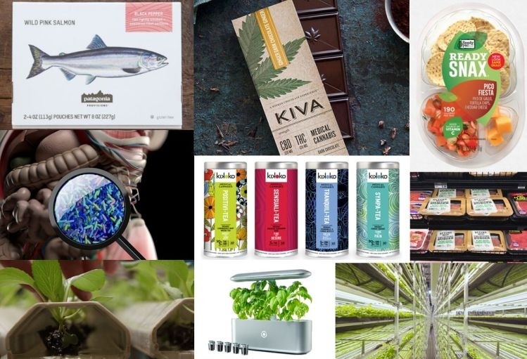 Mattson unveils 10 macro trends driving food and beverage innovation
