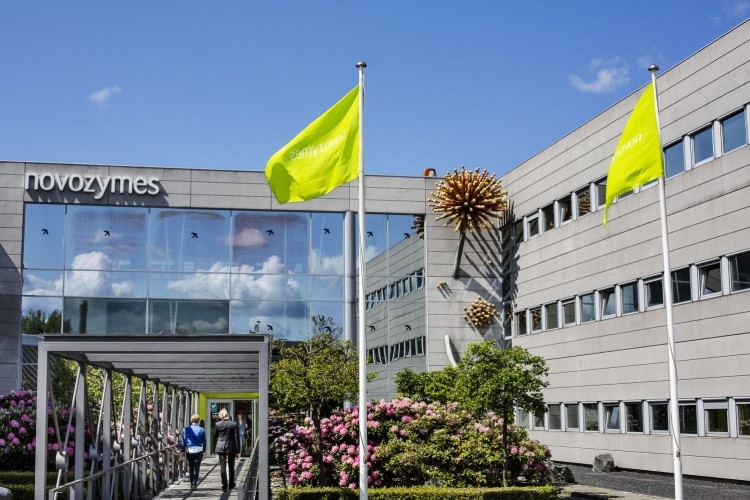 Novozymes notches up 9% organic sales growth in food and beverage segment in 2017