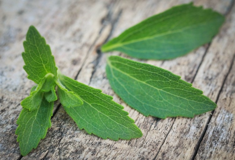 PureCircle has a commercially viable supply of better-tasting stevia ready for use in food and beverage formulations. ©GettyImages/bdspn