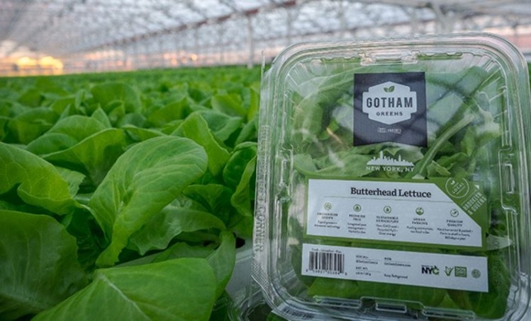 The recent $29m Series C investment brings Gotham Green's total funding to $45m since launching in 2011.