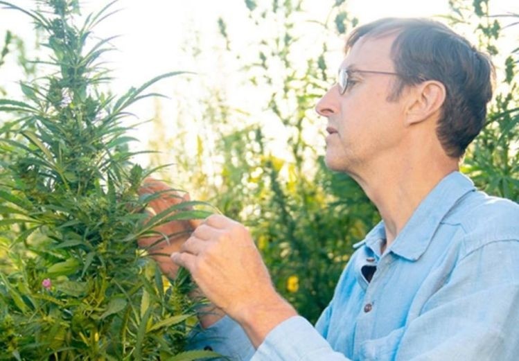 John Roulac: 'The FDA has completely ignored the historical use of hemp extracts.' Picture: RE Botanicals
