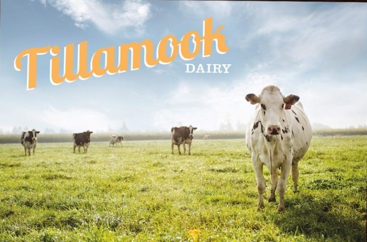 Tillamook "adamantly disagrees with the allegations" (picture: Tillamook)