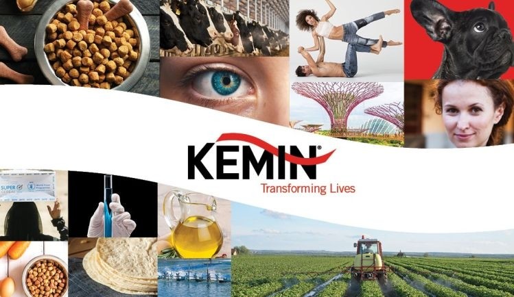 60-second interview: Kemin talks clean label mold inhibitors, beta-glucans for immune health, at SHIFT20