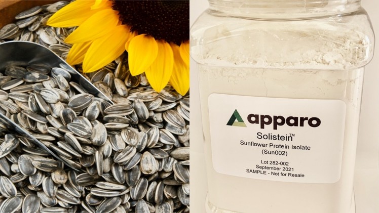 Sunflower is the world’s third largest oilseed crop behind soy and canola, but is not a major player in the plant-based protein arena... yet. Image credits: Gettyimages/KLSbear(left) and Apparo (right)