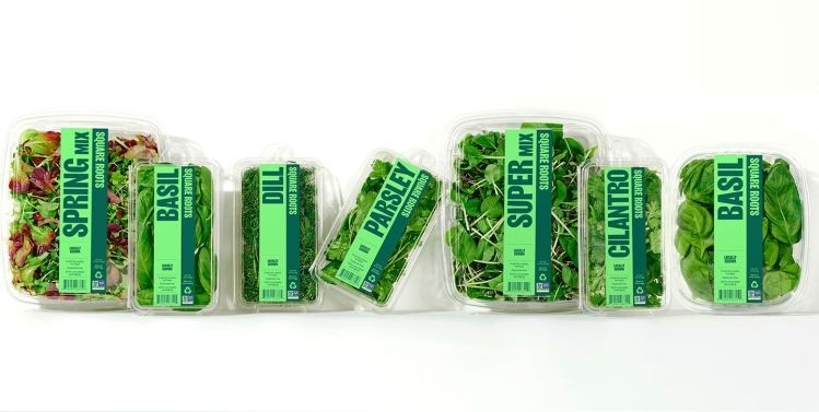 Square Roots' produce is free of pesticides. sold in recycled and recyclable packaging, and has at least 14 days of shelf life. Image credit: Square Roots 