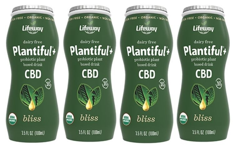 60-second interview: Lifeway Foods gears up for entry into CBD market  