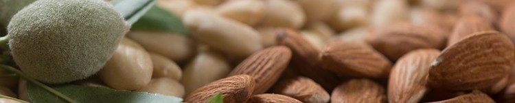 Optimizing California Almonds for Plant-Forward Formulations