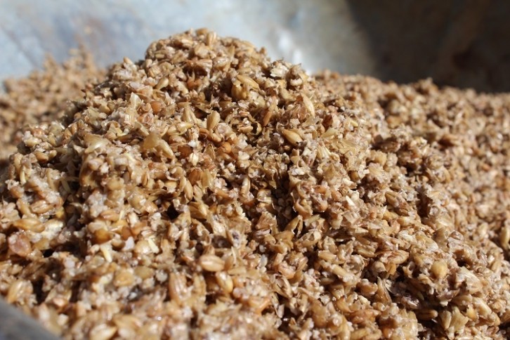 ÄIO uses side streams such as beer spent grain (pictured), sawdust hydrolysate, molasses, food waste and side streams from the diary and bakery industries. Image Source: Imladris01/Getty Images