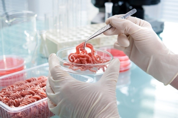 The Good Food Institute reacts to the US cultured meat agreement