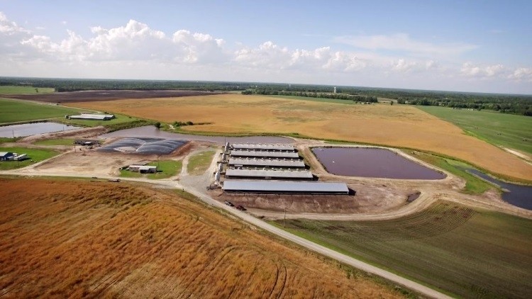 Smithfield Foods has made advancements in its renewable natural gas project