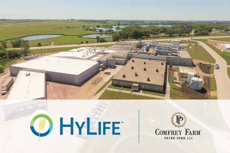HyLife invests in Prime Pork processing business