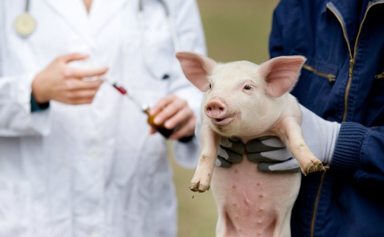 Health experts warn farm-driven antimicrobial resistance could lead to a healthcare crisis