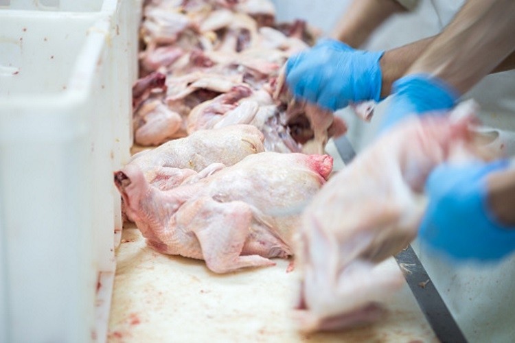 US poultry plants approved for export to China