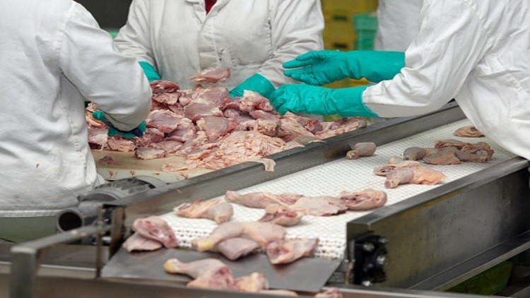 Meat worker injury rates drop in the US