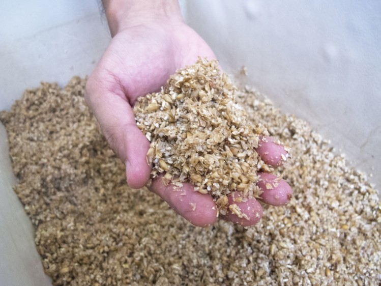 Scientists from University College Cork and AB InBev explored the potential of upcycling Brewers' Spent Grain to obtain potential prebiotic ingredients     Image © Keeratikorn Suttiwong / Getty Images 