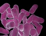USDA called to tighten use of antibiotics in meat