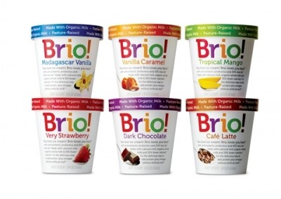 Can ice cream be a meal replacement? Brio thinks so