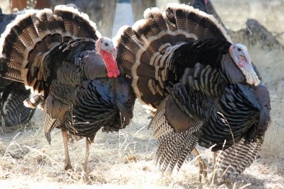 Over $1bn will be spent on turkeys in the US this Thanksgiving