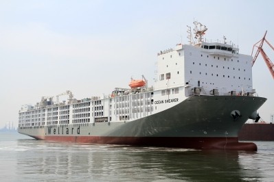 Wellard's new ship, M/V Ocean Shearer, can transport up to 75,000 sheep