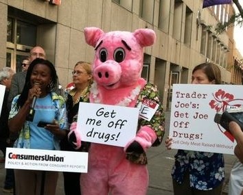 News conference featured Joe the Pig.  Photo courtesy Consumers Union.