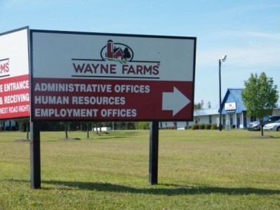 Wayne Farms is to lay off over 500 people from its Laurel plant