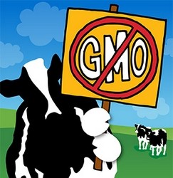 Ben & Jerry’s, Stonyfield, Amy’s, urge Obama to back GMO labeling