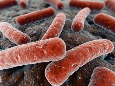 IFT reports on cutting foodborne disease impact
