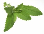 Sweet Green Fields to expand stevia crop in NC and GA