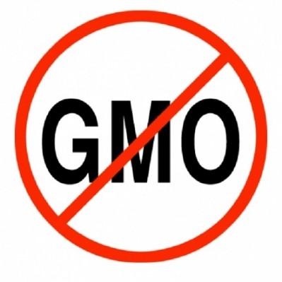 State GMO laws would cause more problems than solutions, lawmakers say