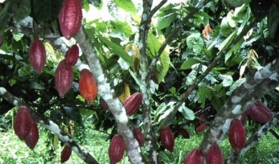 ADM to sell global cocoa business to Olam International for $1.3bn