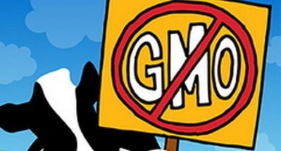 Health Focus International: “GMOs rank within the top five food concerns globally."