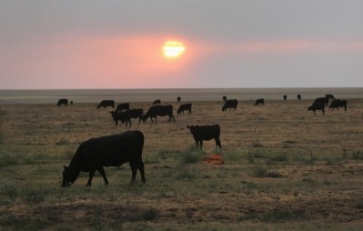 Drought has affected US cattle numbers, with supply tight