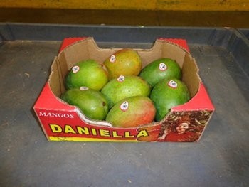 North American Salmonella Braenderup outbreak linked to mangoes