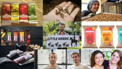 Introducing the North American Edible Insects Coalition 