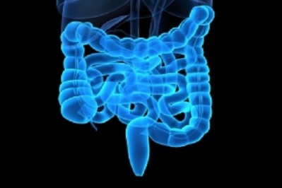 Weight loss leads to significant gut microbiota changes