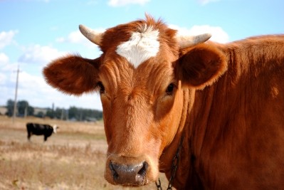 US row over meat industry progress