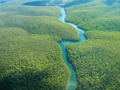 Brazilian supermarket body makes rainforest pledge