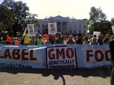 Anti-GMO activists blast GMA's GMO labeling proposals