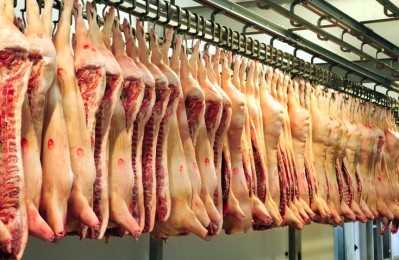 Concerns have been raised over changes to US meat inspection