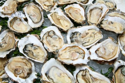 PHAC advised cooking shellfish before eating 