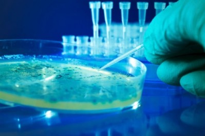 Poultry producers will need to carry out their own microbiological testing