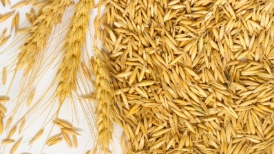 Danish scientists have developed a wheat that increases mineral digestibility. Pic: ©iStock/Olenaa