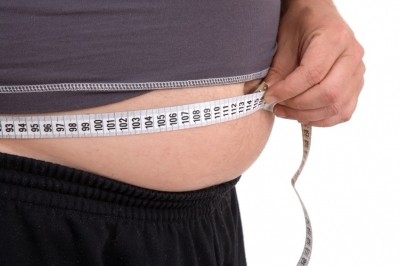 Glucose and fat, not fructose, linked to higher US obesity rates
