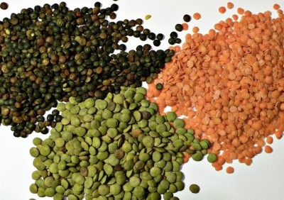 Beans, peas, lentils in gluten fee product development
