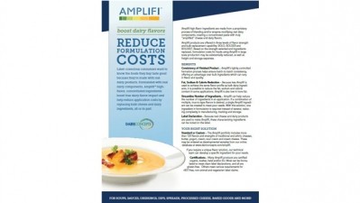 Amplifi™ Ingredients Boost Dairy Flavors, Reduce Formulation Costs